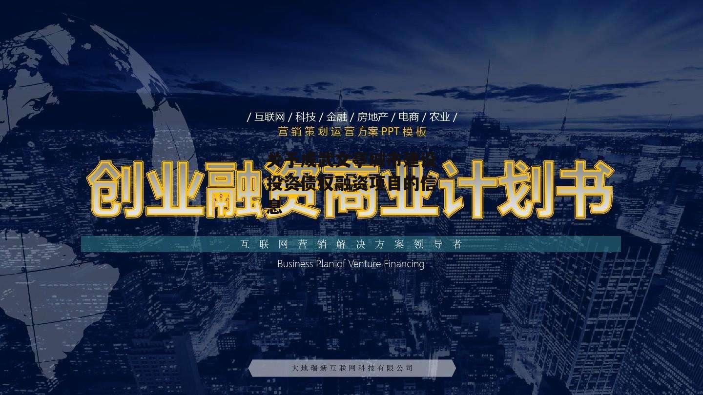 关于成武文亭城市建设投资债权融资项目的信息