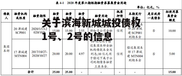 关于滨海新城城投债权1号、2号的信息