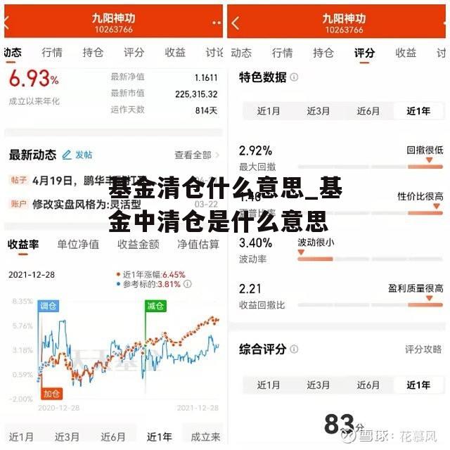 基金清仓什么意思_基金中清仓是什么意思