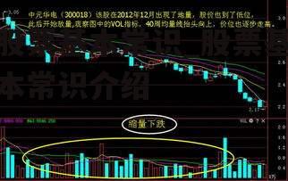 股票基本常识_股票基本常识介绍