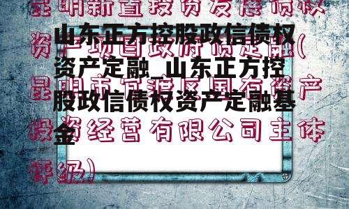 山东正方控股政信债权资产定融_山东正方控股政信债权资产定融基金