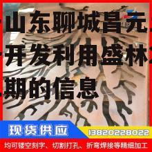 关于山东聊城昌元土地储备开发利用盛林26号二期的信息