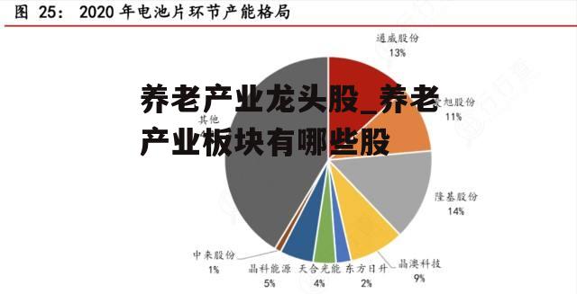 养老产业龙头股_养老产业板块有哪些股