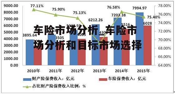 车险市场分析_车险市场分析和目标市场选择