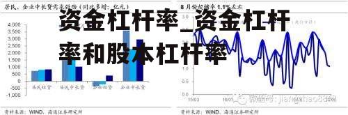 资金杠杆率_资金杠杆率和股本杠杆率