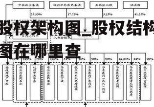 股权架构图_股权结构图在哪里查