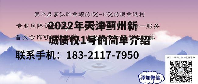 2022年天津蓟州新城债权1号的简单介绍