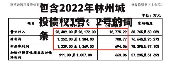 包含2022年林州城投债权1号、2号的词条