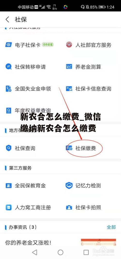 新农合怎么缴费_微信缴纳新农合怎么缴费