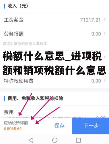 税额什么意思_进项税额和销项税额什么意思