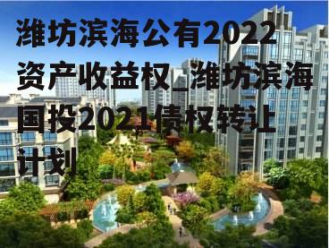 潍坊滨海公有2022资产收益权_潍坊滨海国投2021债权转让计划