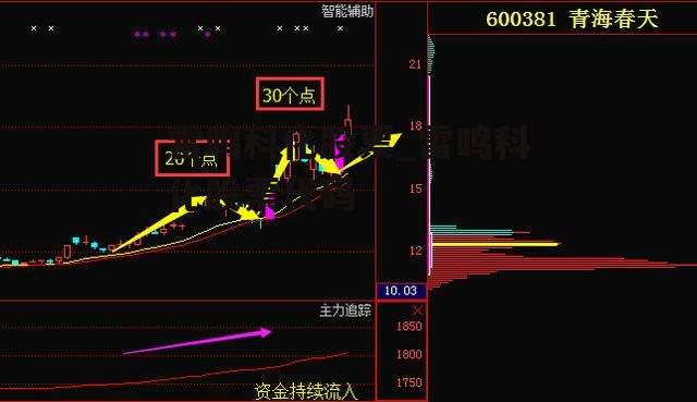 雷鸣科化股票_雷鸣科化股票代码