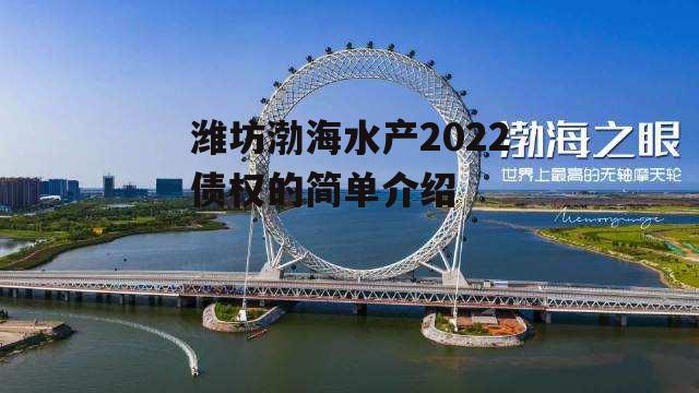 潍坊渤海水产2022债权的简单介绍