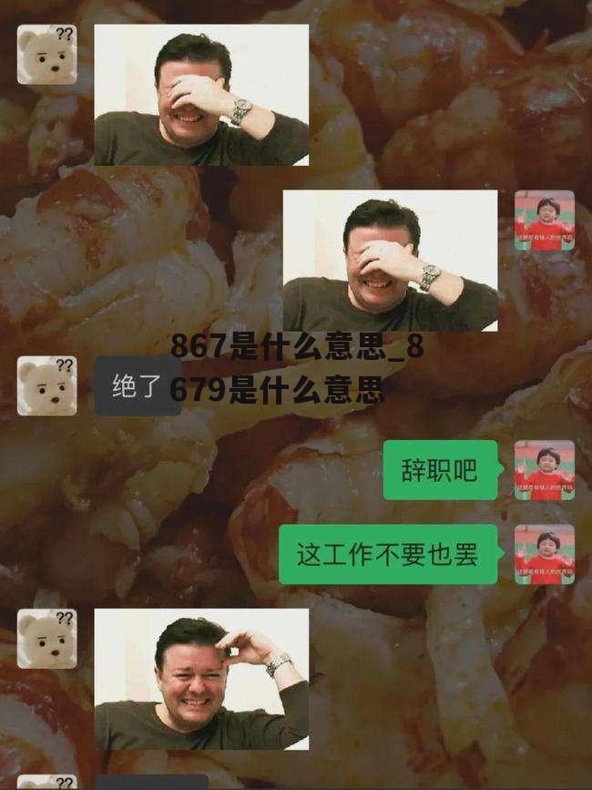 867是什么意思_8679是什么意思