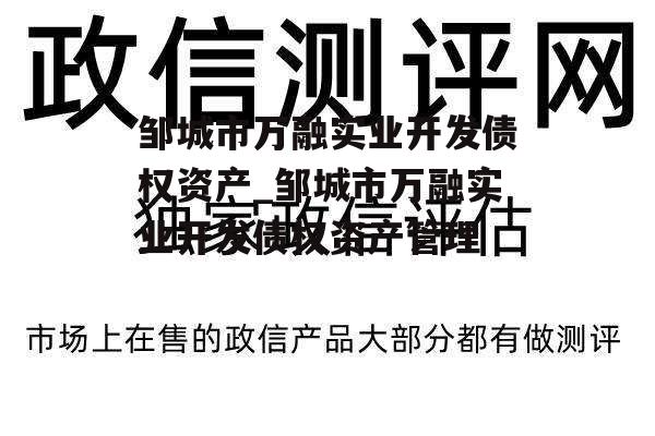 邹城市万融实业开发债权资产_邹城市万融实业开发债权资产管理