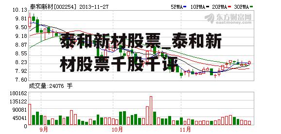 泰和新材股票_泰和新材股票千股千评