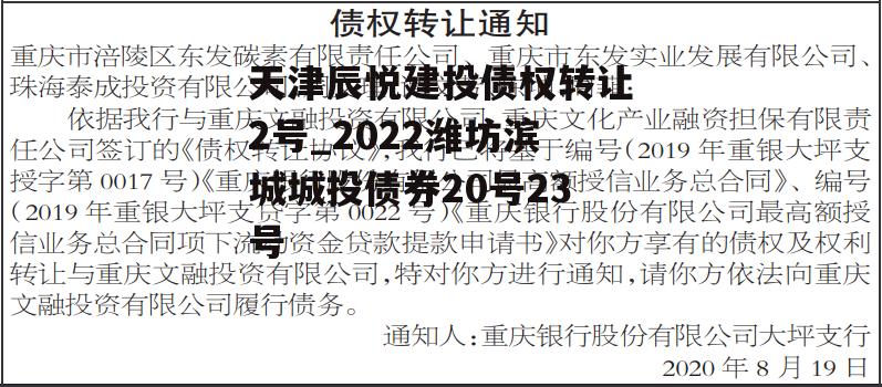 天津辰悦建投债权转让2号_2022潍坊滨城城投债券20号23号