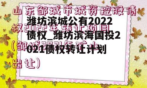 潍坊滨城公有2022债权_潍坊滨海国投2021债权转让计划