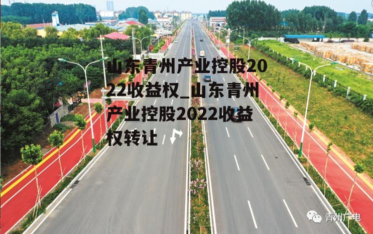 山东青州产业控股2022收益权_山东青州产业控股2022收益权转让