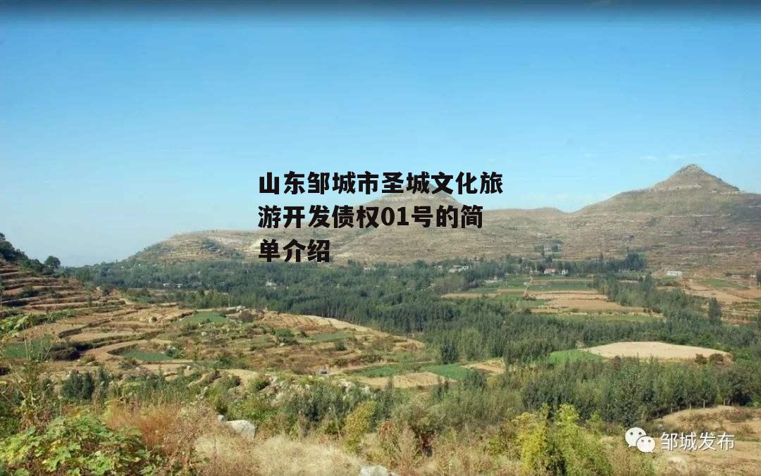 山东邹城市圣城文化旅游开发债权01号的简单介绍