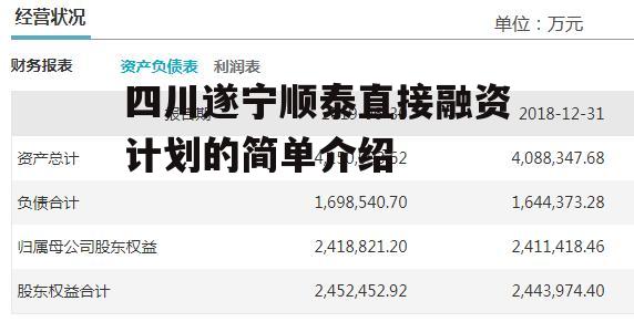 四川遂宁顺泰直接融资计划的简单介绍