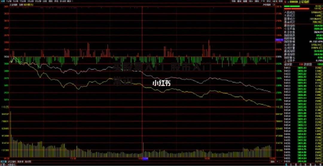 买股票入门_股市入门常识