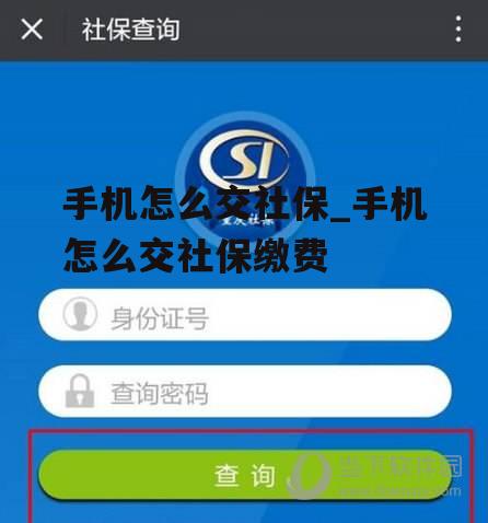 手机怎么交社保_手机怎么交社保缴费