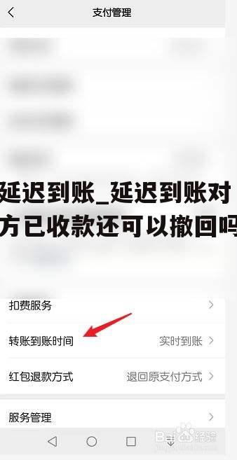 延迟到账_延迟到账对方已收款还可以撤回吗