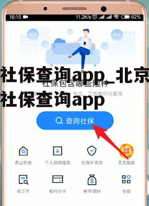 社保查询app_北京社保查询app