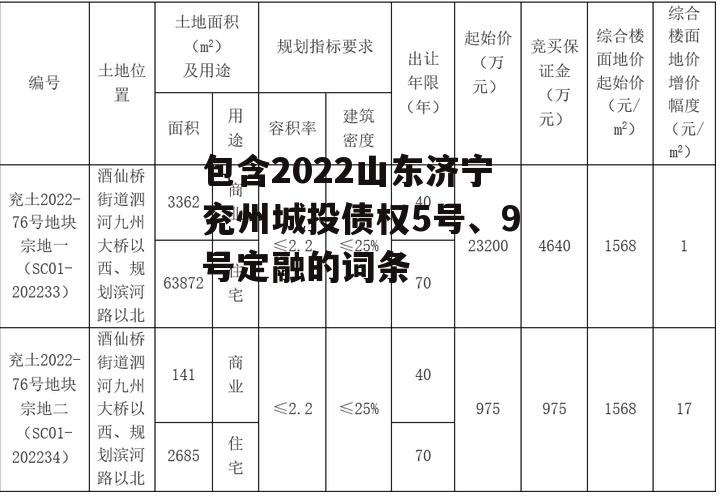 包含2022山东济宁兖州城投债权5号、9号定融的词条