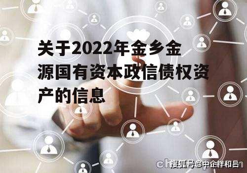 关于2022年金乡金源国有资本政信债权资产的信息