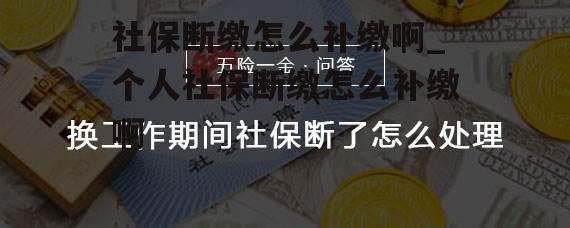 社保断缴怎么补缴啊_个人社保断缴怎么补缴啊