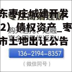 山东枣庄城建开发（2022）债权资产_枣庄市土地出让公告