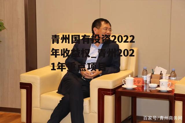 青州国有投资2022年收益权_青州2021年重点项目