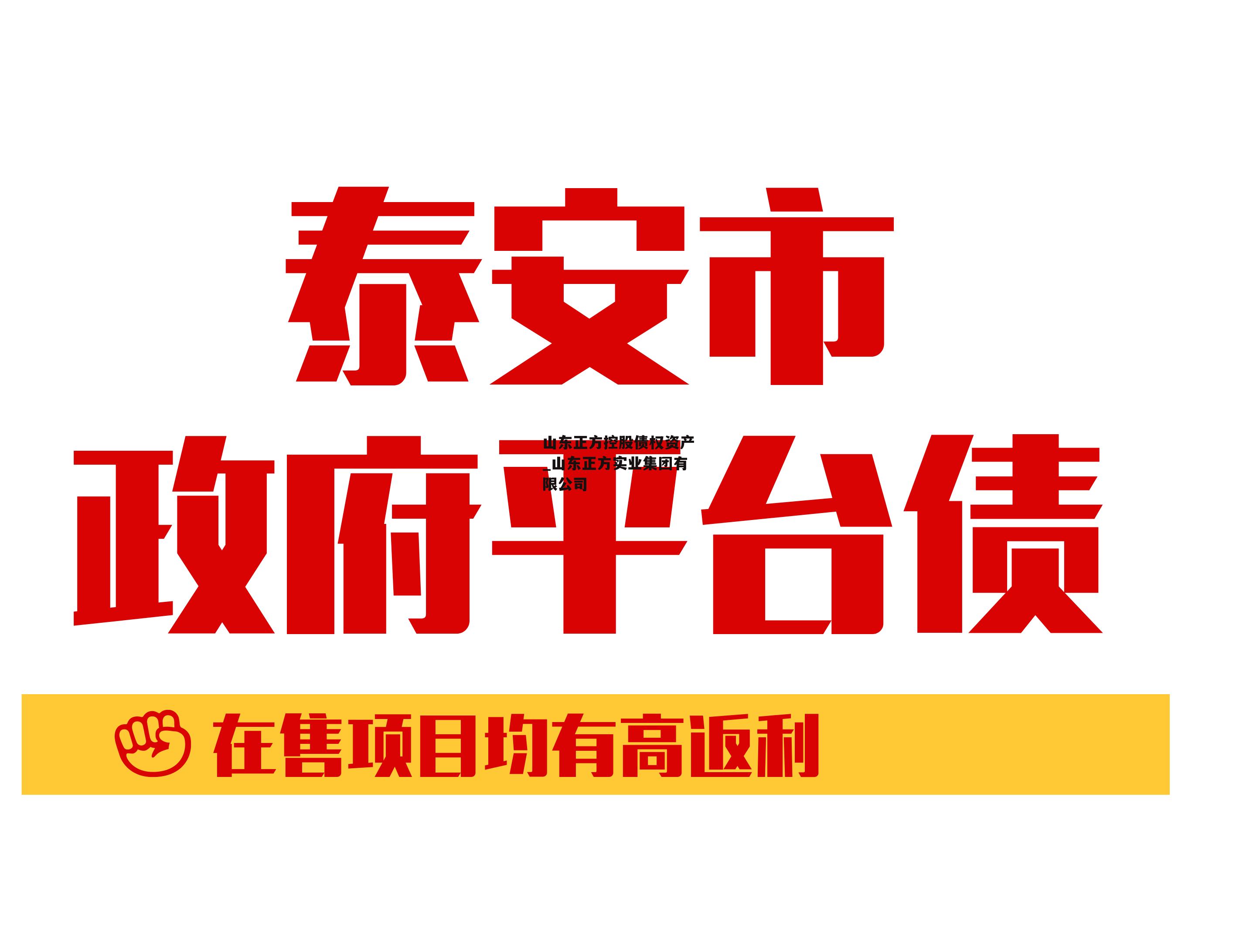 山东正方控股债权资产_山东正方实业集团有限公司