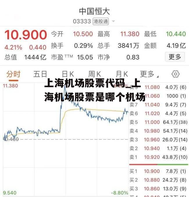 上海机场股票代码_上海机场股票是哪个机场