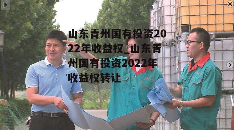 山东青州国有投资2022年收益权_山东青州国有投资2022年收益权转让