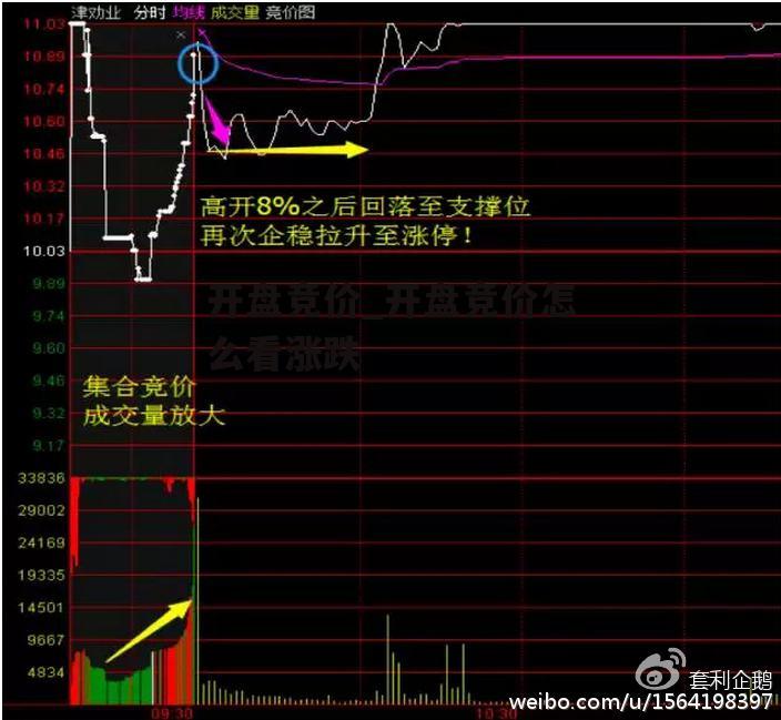 开盘竞价_开盘竞价怎么看涨跌