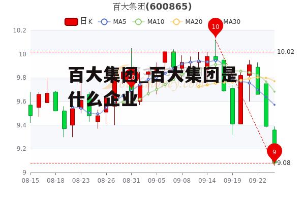 百大集团_百大集团是什么企业