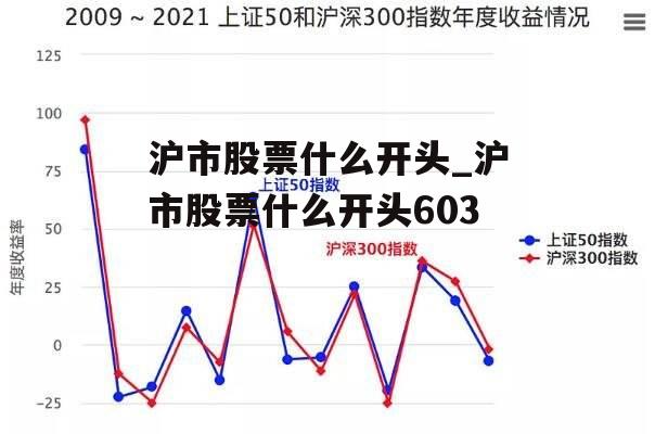 沪市股票什么开头_沪市股票什么开头603