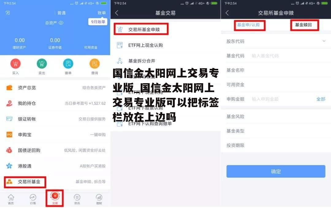 国信金太阳网上交易专业版_国信金太阳网上交易专业版可以把标签栏放在上边吗