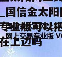 国信金太阳网上交易专业版_国信金太阳网上交易专业版可以把标签栏放在上边吗