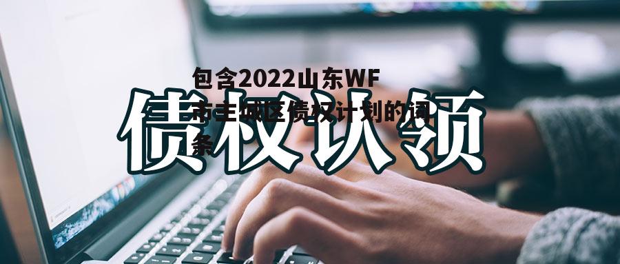 包含2022山东WF市主城区债权计划的词条