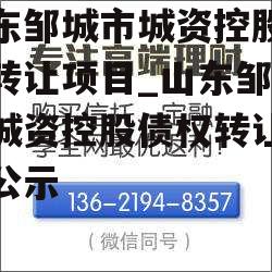 山东邹城市城资控股债权转让项目_山东邹城市城资控股债权转让项目公示