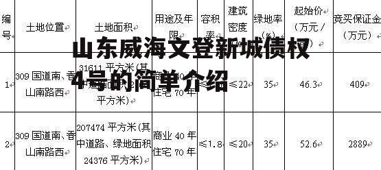 山东威海文登新城债权4号的简单介绍