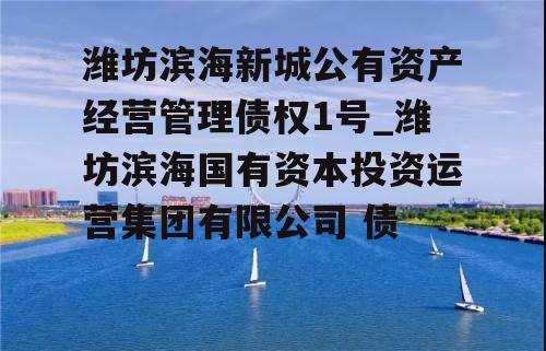 潍坊滨海新城公有资产经营管理债权1号_潍坊滨海国有资本投资运营集团有限公司 债