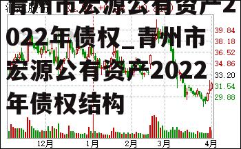 青州市宏源公有资产2022年债权_青州市宏源公有资产2022年债权结构