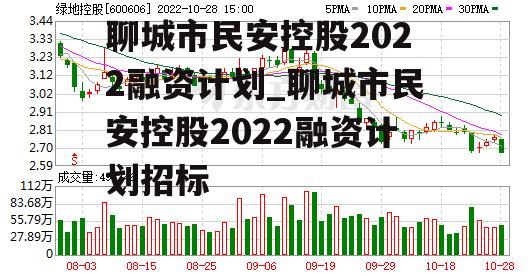 聊城市民安控股2022融资计划_聊城市民安控股2022融资计划招标