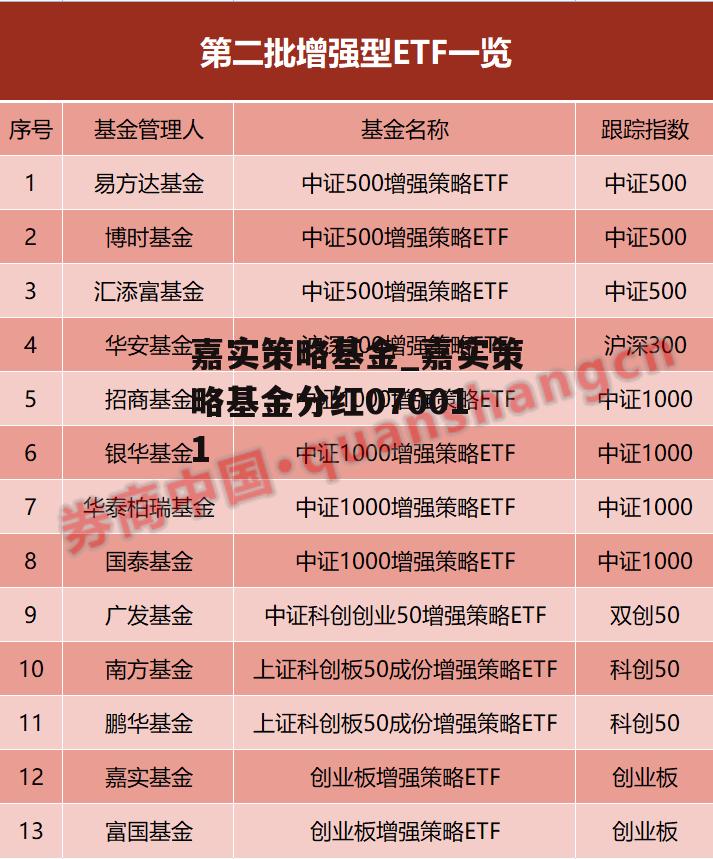 嘉实策略基金_嘉实策略基金分红070011