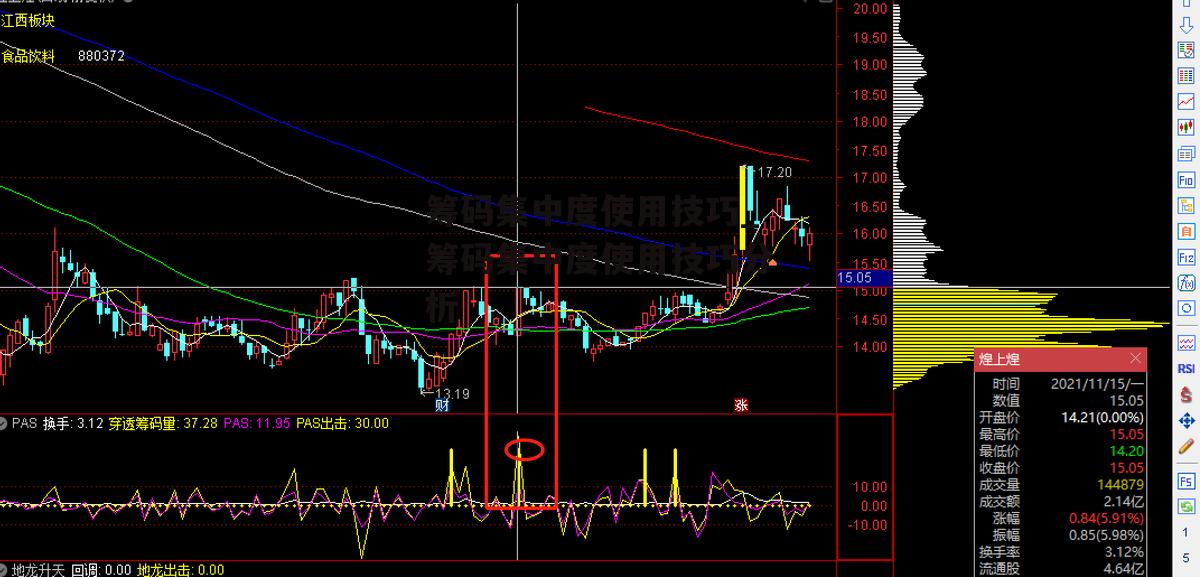 筹码集中度使用技巧_筹码集中度使用技巧分析